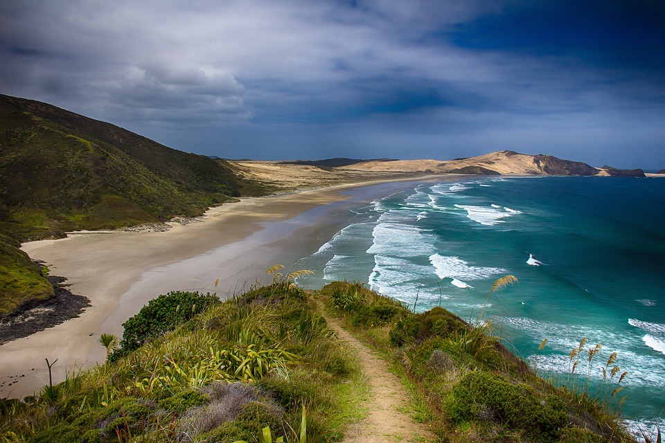 Exploring the Wonders of New Zealand: A Traveler’s Guide